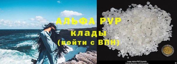 сатива Заволжск