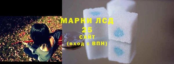 индика Белоозёрский