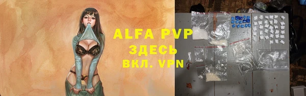 индика Белоозёрский