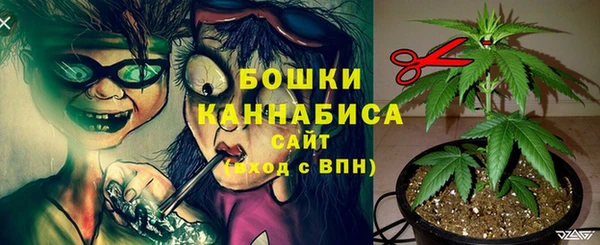 индика Белоозёрский