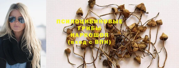 индика Белоозёрский