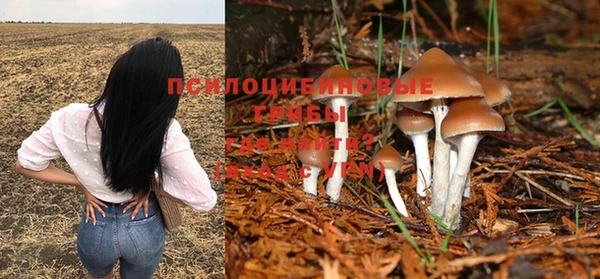индика Белоозёрский